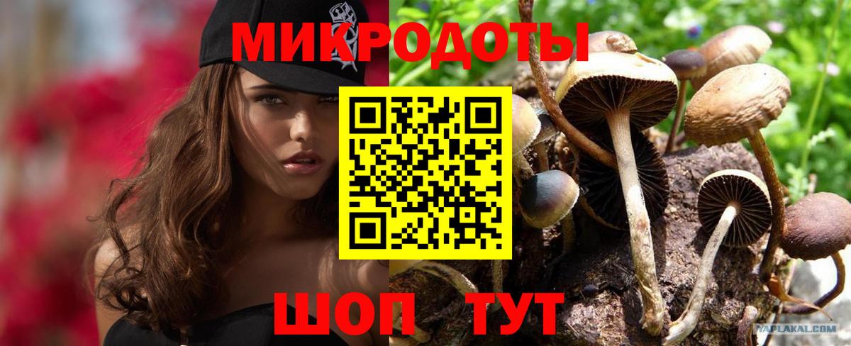Псилоцибиновые грибы ЛСД Калач-на-Дону